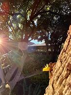 Southern Cross Estate