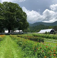 Cottages at Julep Farms