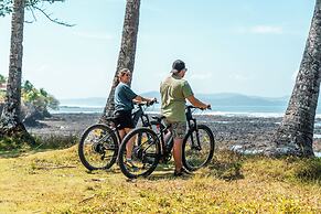 Bambuda Santa Catalina