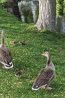 Caravan Beautiful Location Southview Skegness