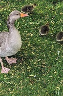 Caravan Beautiful Location Southview Skegness