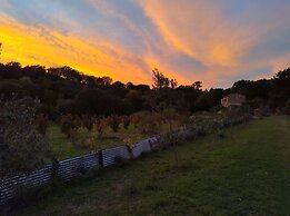 La Nocciolaia