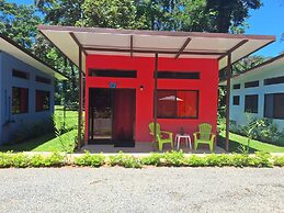 Caribbean Blue Morpho