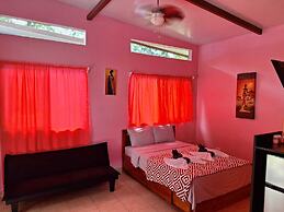 Caribbean Blue Morpho