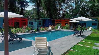 Caribbean Blue Morpho