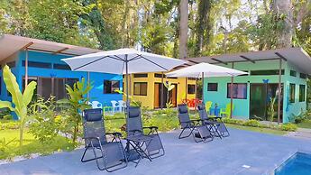 Caribbean Blue Morpho