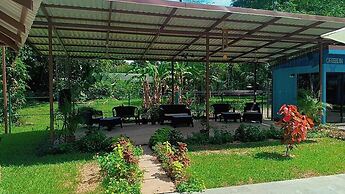 Caribbean Blue Morpho