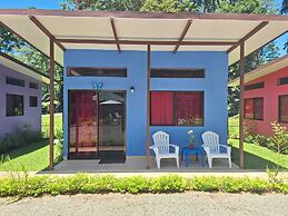 Caribbean Blue Morpho