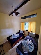 Caribbean Blue Morpho