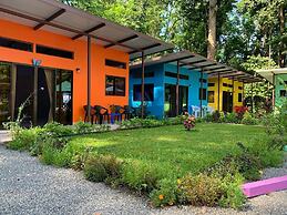 Caribbean Blue Morpho