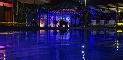 Caribbean Blue Morpho