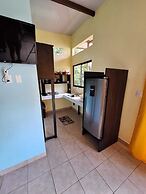 Caribbean Blue Morpho