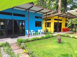 Caribbean Blue Morpho