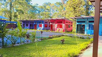 Caribbean Blue Morpho