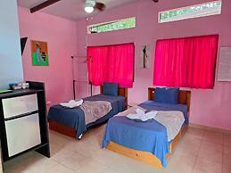 Caribbean Blue Morpho