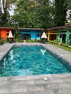 Caribbean Blue Morpho