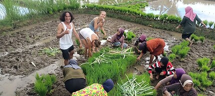 Lingkung Park Tetebatu