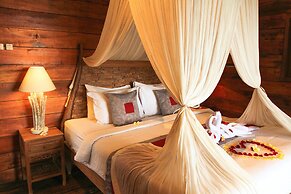 Belvilla Moksha Ceking Rice TerraceNearUbud Jungle Swing