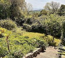 Charming 3 Bedroom Family Cottage - Dogs Welcome