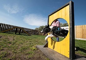 Meadows 51 - Southview Holiday Park Skegness