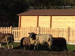 Cosy 1-bed Farm Stay Cabin
