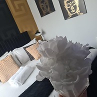 Unique Penthouse With Jacuzzi & Garden