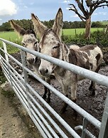 Immaculate 2-bed Lodge in Harrogate