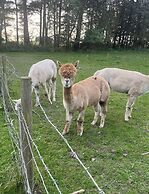 Immaculate 2-bed Lodge in Harrogate