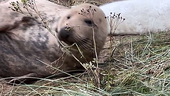 A Beautiful Holiday Home On Haven Golden Sands