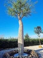 Ro agrimaison