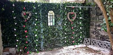 The Cool Belfast Home