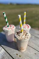 Geodome Glamping With sea Views Near Pendine