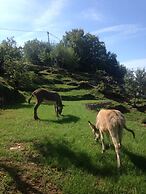 Il Podere di Metato Restored Tuscan Farmhouse With Pool With Views of 