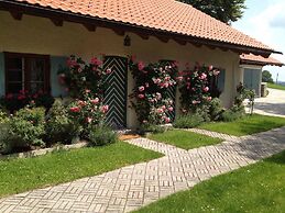 La Pause Musicale Near Salzburg Austria Luxury Chalet Swimming Lake