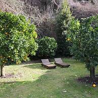 Villa Vinarte Elegant Home 2 Pools Tennis spa Winery Exclusively for y