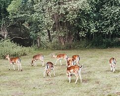 The Woodland Lodge Gisselfeld