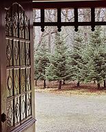 The Woodland Lodge Gisselfeld