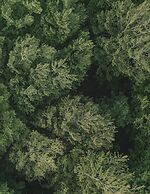 The Woodland Lodge Gisselfeld