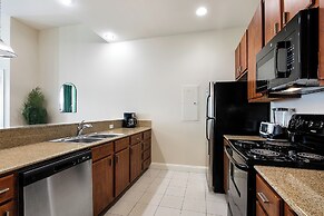 Spacious Modern Condos near French Quarter