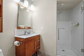 Spacious Modern Condos near French Quarter