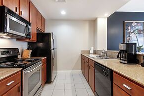 Spacious Modern Condos near French Quarter