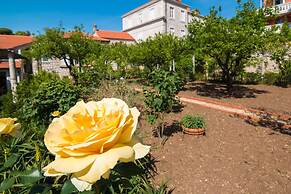 Dvori With Garden, Free Parking Next To Sea