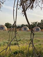 Glamping Resort