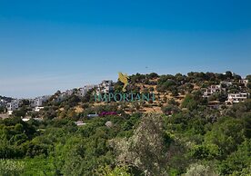 Green Park Villas by Important Group