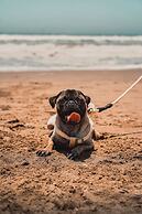 Vista Pacífico Condos