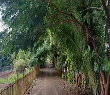 Aranyagiri Countryside Resort