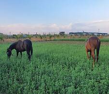 Aranyagiri Countryside Resort