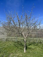 Casas rurales 4 valles
