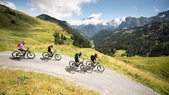 Alpage Immo Location Service
