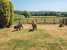 Piglet Corner